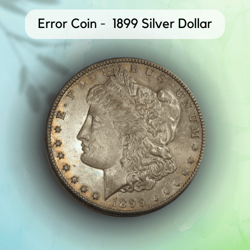 Error Coin - 1899 Silver Dollar