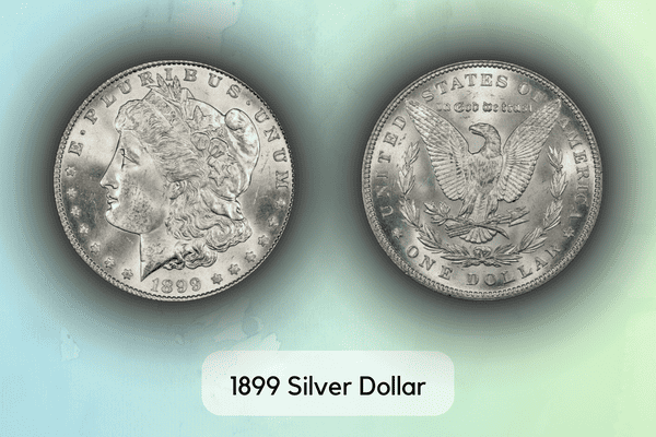 The History Of The 1899 Silver Dollar