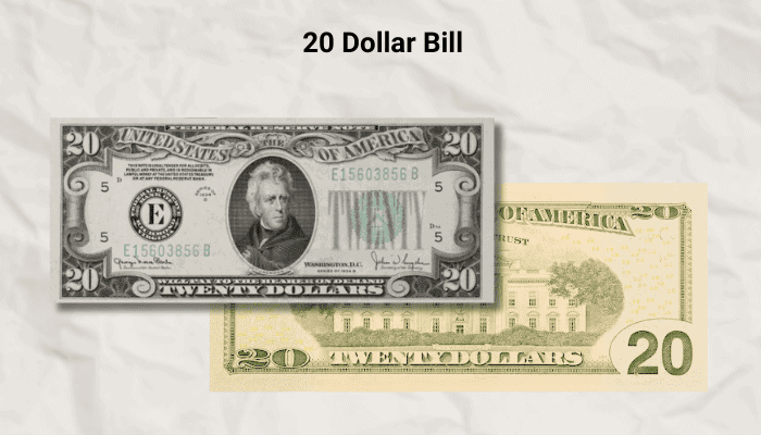 20 Dollar Bill In Circulation