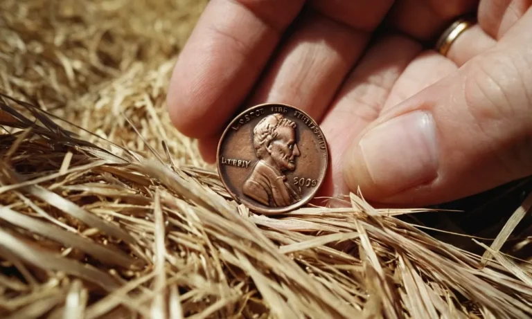 What Is A Hay Penny? A Comprehensive Guide